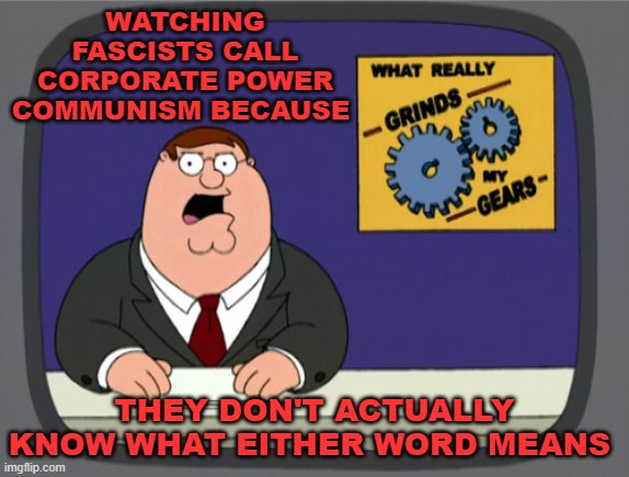 Peter Griffin News | WATCHING FASCISTS CALL CORPORATE POWER COMMUNISM BECAUSE; THEY DON'T ACTUALLY KNOW WHAT EITHER WORD MEANS | image tagged in memes,peter griffin news | made w/ Imgflip meme maker