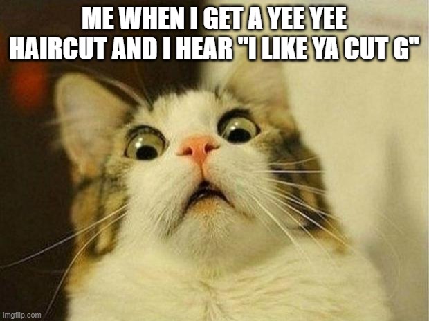 yee yee haircut bad | ME WHEN I GET A YEE YEE HAIRCUT AND I HEAR "I LIKE YA CUT G" | image tagged in memes,scared cat | made w/ Imgflip meme maker