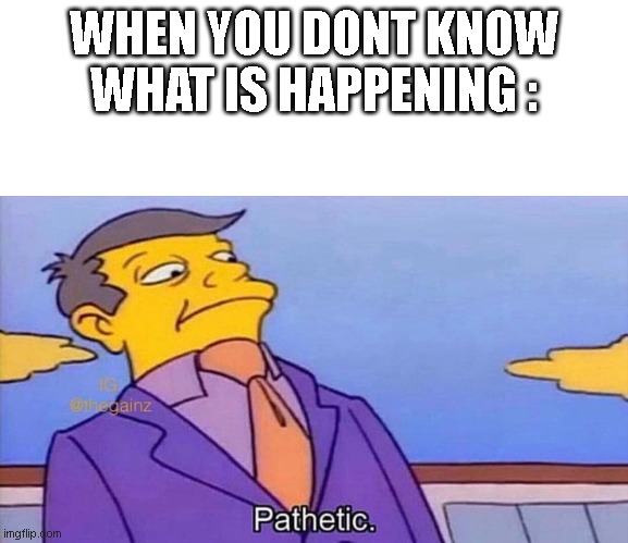 Pathetic | WHEN YOU DONT KNOW WHAT IS HAPPENING : | image tagged in pathetic | made w/ Imgflip meme maker