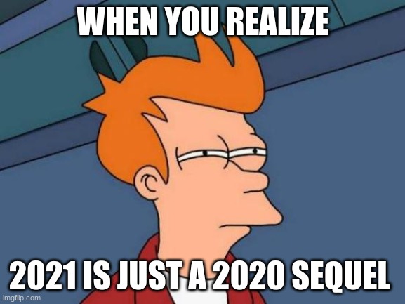 Futurama Fry Meme | WHEN YOU REALIZE; 2021 IS JUST A 2020 SEQUEL | image tagged in memes,futurama fry | made w/ Imgflip meme maker