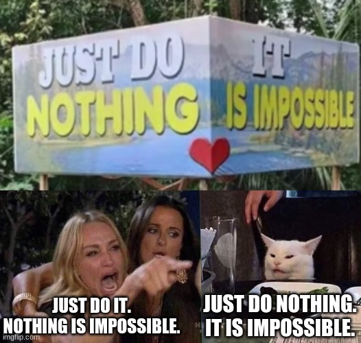 I saw a few of these on youtube. | JUST DO NOTHING. IT IS IMPOSSIBLE. JUST DO IT. NOTHING IS IMPOSSIBLE. | image tagged in woman yelling at cat,sign | made w/ Imgflip meme maker
