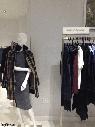 PubliK Skhool TheorY | image tagged in fashion,public school,theory,saks fifth avenue,brian einersen | made w/ Imgflip images-to-gif maker