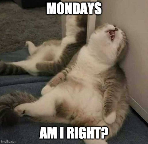 Mondays am i right? | MONDAYS; AM I RIGHT? | image tagged in mondays,monday-mornings,i hate monday,monday face,mondays am i right | made w/ Imgflip meme maker