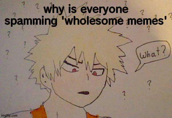 Bakugo is le confusion | why is everyone spamming 'wholesome memes' | image tagged in bakugo what | made w/ Imgflip meme maker