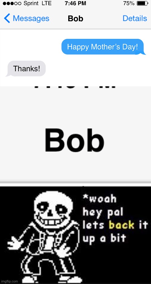 Whoa hey | image tagged in woah hey pal lets back it up a bit,funny,memes,texting,texts | made w/ Imgflip meme maker