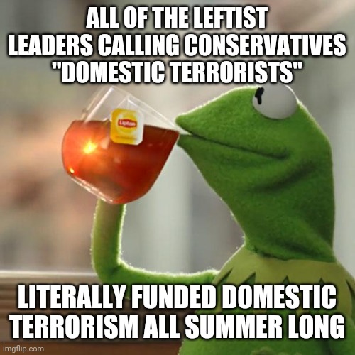 Go ahead. Try to deflect. | ALL OF THE LEFTIST LEADERS CALLING CONSERVATIVES "DOMESTIC TERRORISTS"; LITERALLY FUNDED DOMESTIC TERRORISM ALL SUMMER LONG | image tagged in memes,but that's none of my business,kermit the frog,2020 | made w/ Imgflip meme maker