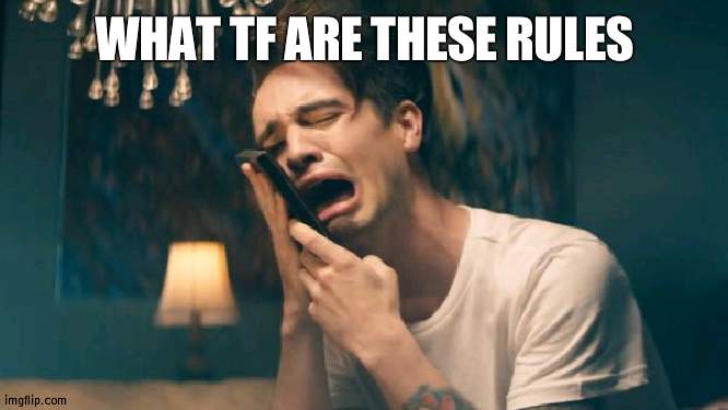 yall have more fukin rules than the fun stream | WHAT TF ARE THESE RULES | image tagged in sad panic at the disco | made w/ Imgflip meme maker
