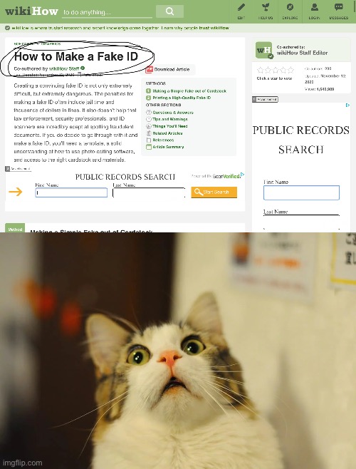 I should try this some day | image tagged in memes,license,scared cat,wikihow | made w/ Imgflip meme maker
