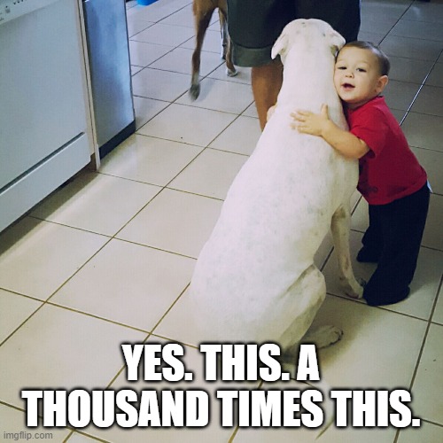 Little People Big Hugs | YES. THIS. A THOUSAND TIMES THIS. | image tagged in little people big hugs | made w/ Imgflip meme maker