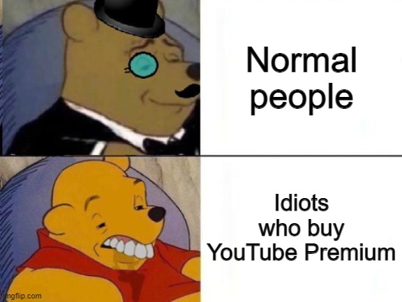 You could just download AdblockPlus. | Normal people; Idiots who buy YouTube Premium | image tagged in fancy and idiot pooh,adblock,funny,youtube,stop reading the tags,memes | made w/ Imgflip meme maker