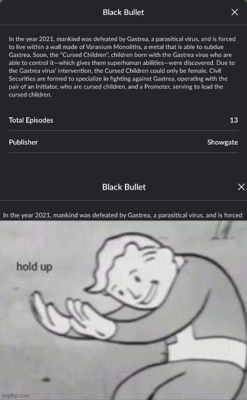 Black bullet hold up | image tagged in fallout hold up | made w/ Imgflip meme maker