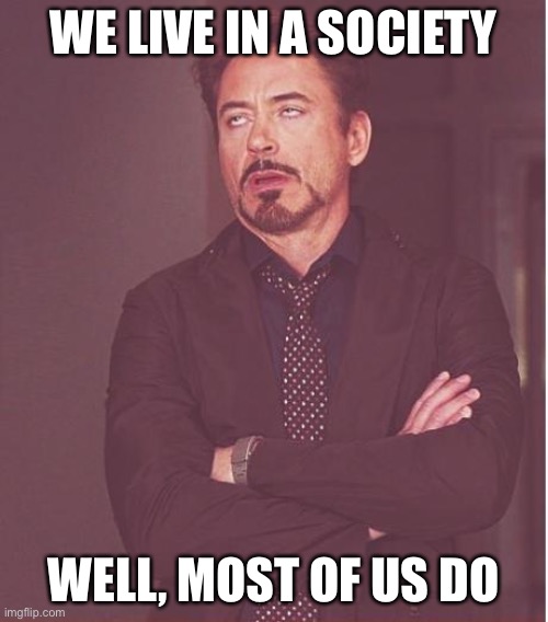 We live in a society...well, most of us do. | WE LIVE IN A SOCIETY; WELL, MOST OF US DO | image tagged in memes,face you make robert downey jr | made w/ Imgflip meme maker