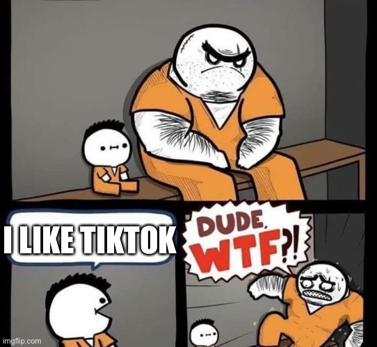 Dude wtf | I LIKE TIKTOK | image tagged in dude wtf | made w/ Imgflip meme maker