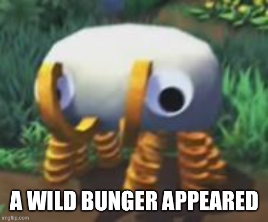 Bunger | A WILD BUNGER APPEARED | image tagged in bunger | made w/ Imgflip meme maker