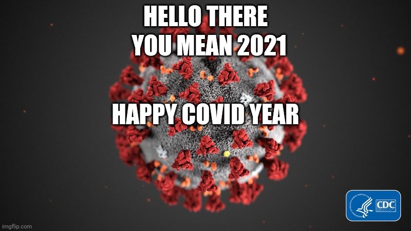 Covid year | YOU MEAN 2021; HELLO THERE; HAPPY COVID YEAR | image tagged in die covid die,covid19,covidiots,i hate coronavirus | made w/ Imgflip meme maker