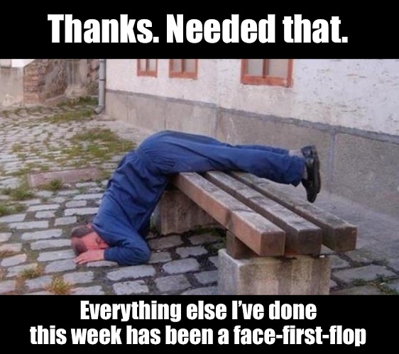 Thanks. Needed that. Everything else I’ve done this week has been a face-first-flop | made w/ Imgflip meme maker