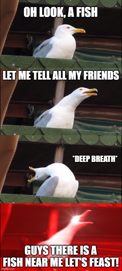 Inhaling Seagull | OH LOOK, A FISH; LET ME TELL ALL MY FRIENDS; *DEEP BREATH*; GUYS THERE IS A FISH NEAR ME LET'S FEAST! | image tagged in memes,inhaling seagull | made w/ Imgflip meme maker