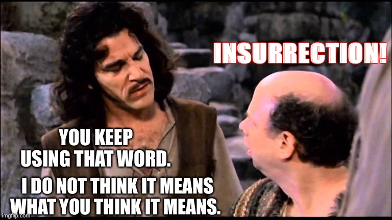  Princess bride inigo vizzini inconceivable | INSURRECTION! YOU KEEP USING THAT WORD. I DO NOT THINK IT MEANS WHAT YOU THINK IT MEANS. | image tagged in princess bride inigo vizzini inconceivable,insurrection | made w/ Imgflip meme maker