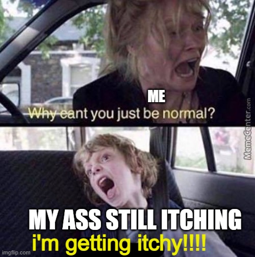 Why Can't You Just Be Normal | ME; MY ASS STILL ITCHING; i'm getting itchy!!!! | image tagged in why can't you just be normal | made w/ Imgflip meme maker