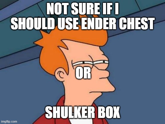 minecraft meme | NOT SURE IF I SHOULD USE ENDER CHEST; OR; SHULKER BOX | image tagged in memes | made w/ Imgflip meme maker