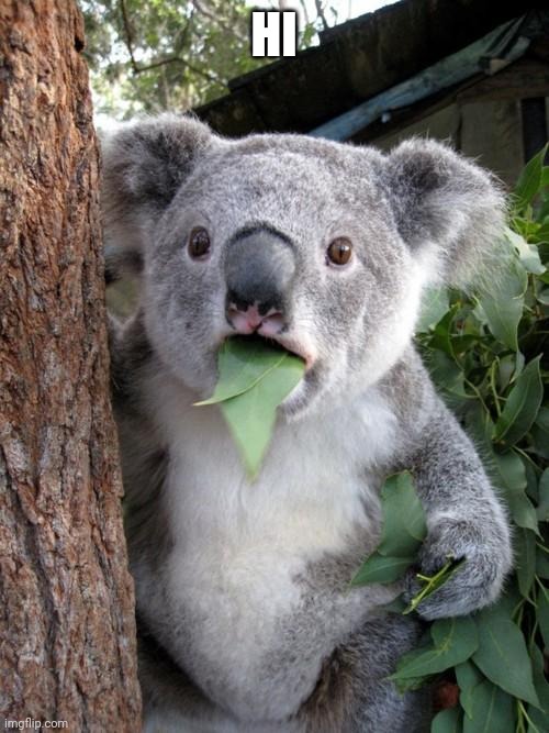 Surprised Koala | HI | image tagged in memes,surprised koala | made w/ Imgflip meme maker