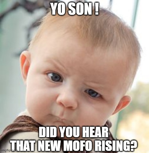 That new Mofo Rising | YO SON ! DID YOU HEAR THAT NEW MOFO RISING? | image tagged in memes,skeptical baby,mofo rising,funk music | made w/ Imgflip meme maker