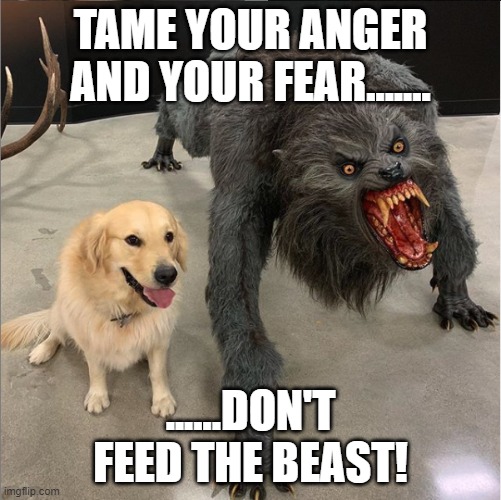 HAPPINESS AND LOVE | TAME YOUR ANGER AND YOUR FEAR....... ......DON'T FEED THE BEAST! | image tagged in dog vs werewolf | made w/ Imgflip meme maker