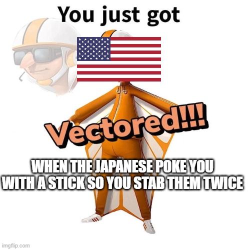 You just got Vectored | WHEN THE JAPANESE POKE YOU WITH A STICK SO YOU STAB THEM TWICE | image tagged in you just got vectored | made w/ Imgflip meme maker