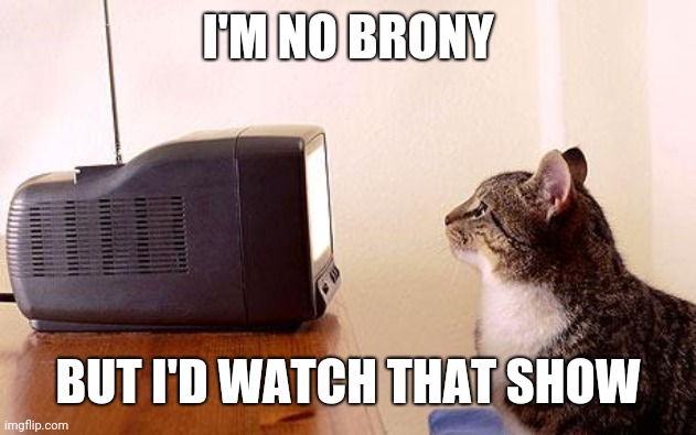 cat watching tv | I'M NO BRONY BUT I'D WATCH THAT SHOW | image tagged in cat watching tv | made w/ Imgflip meme maker