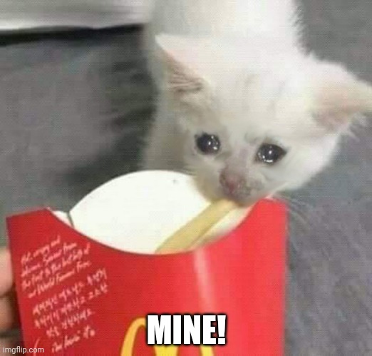 Smol cat got last fry | MINE! | image tagged in cat last of french fries mcdonalds,french fries,cats | made w/ Imgflip meme maker