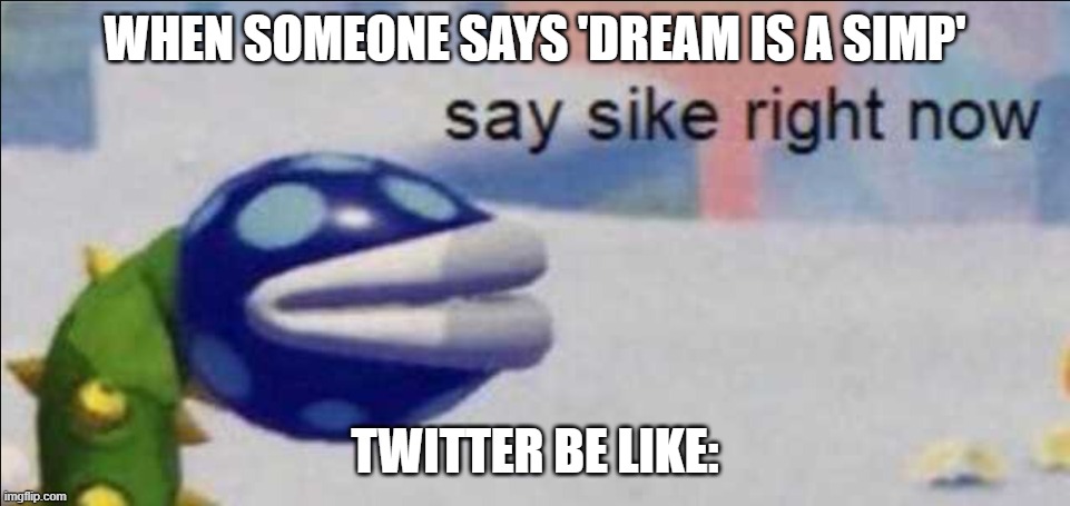 nonsense | WHEN SOMEONE SAYS 'DREAM IS A SIMP'; TWITTER BE LIKE: | image tagged in say sike right now | made w/ Imgflip meme maker