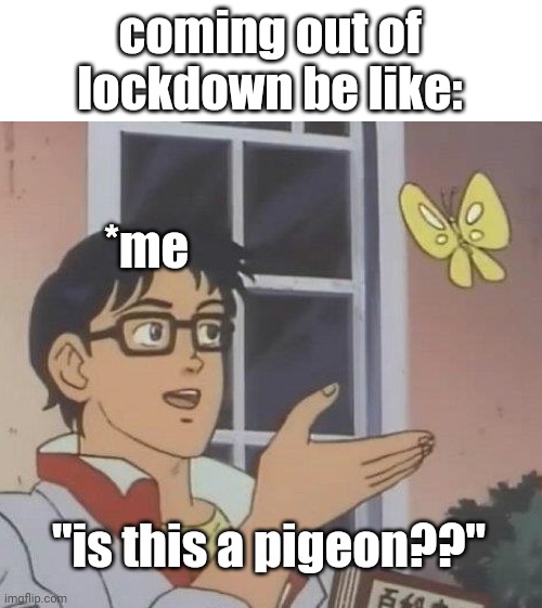 yes i made this mistake  -_- | coming out of lockdown be like:; *me; "is this a pigeon??" | image tagged in memes,is this a pigeon | made w/ Imgflip meme maker