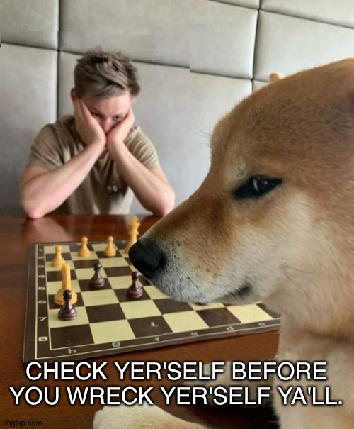 Check, mate.? | CHECK YER'SELF BEFORE YOU WRECK YER'SELF YA'LL. | image tagged in smug dog chess master | made w/ Imgflip meme maker