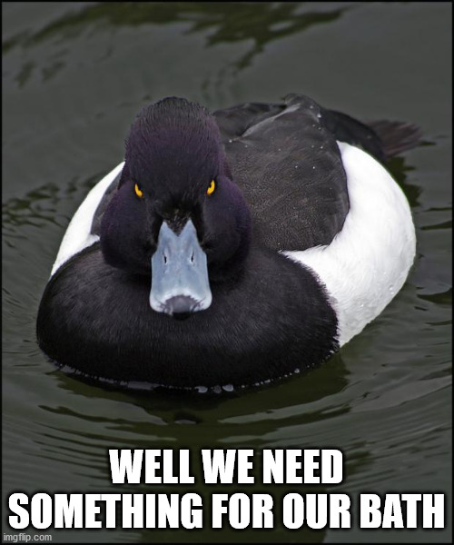 Angry duck | WELL WE NEED SOMETHING FOR OUR BATH | image tagged in angry duck | made w/ Imgflip meme maker