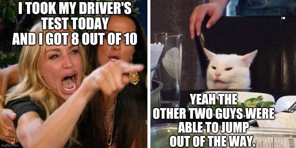 Smudge the cat | J M; I TOOK MY DRIVER'S TEST TODAY AND I GOT 8 OUT OF 10; YEAH THE OTHER TWO GUYS WERE ABLE TO JUMP OUT OF THE WAY. | image tagged in smudge the cat | made w/ Imgflip meme maker