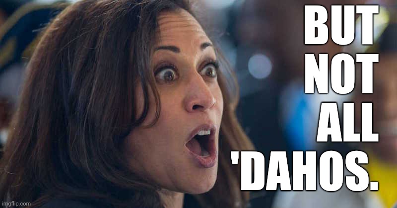 kamala harriss | BUT
NOT
ALL
'DAHOS. | image tagged in kamala harriss | made w/ Imgflip meme maker