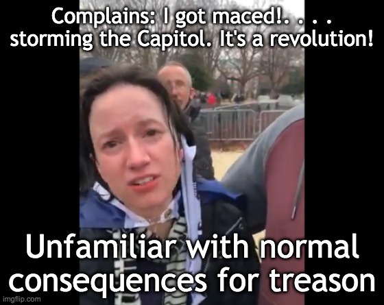 Complains: I got maced!. . . . storming the Capitol. It's a revolution! Unfamiliar with normal consequences for treason | made w/ Imgflip meme maker