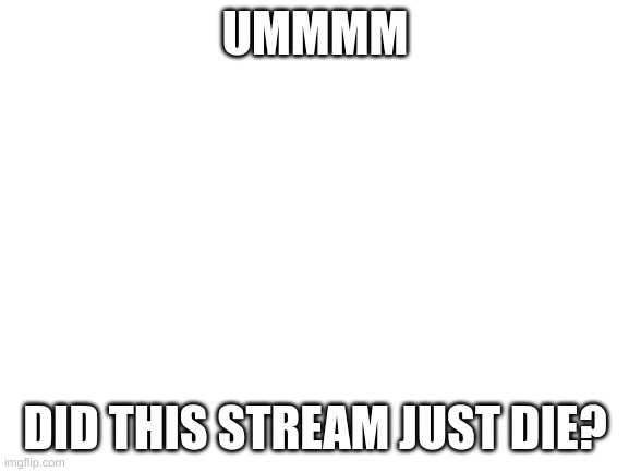 Blank White Template | UMMMM; DID THIS STREAM JUST DIE? | image tagged in blank white template | made w/ Imgflip meme maker