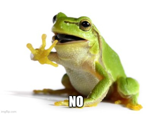 How 'bout no frog | NO | image tagged in how 'bout no frog | made w/ Imgflip meme maker
