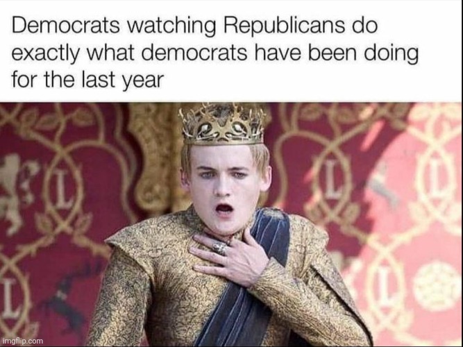 Democrats gonna Dem... | image tagged in libtards,liberal hypocrisy | made w/ Imgflip meme maker