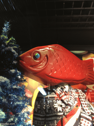 Fish’s First Christmas | image tagged in gifs,fashion,window design,bergdorf goodman,christmas,kim kowdashian | made w/ Imgflip images-to-gif maker