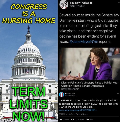 CONGRESS IS A NURSING HOME; TERM LIMITS NOW! | CONGRESS IS A NURSING HOME; TERM LIMITS NOW! | image tagged in congress is a nursing home | made w/ Imgflip meme maker