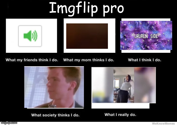 What I really do | Imgflip pro | image tagged in what i really do | made w/ Imgflip meme maker