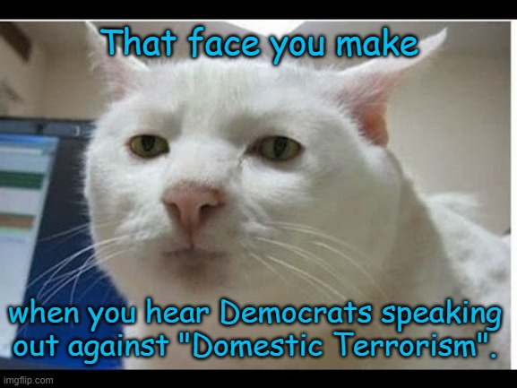 Need I explain this? | That face you make; when you hear Democrats speaking out against "Domestic Terrorism". | image tagged in surprised face,memes,blm,antifa,liberal logic | made w/ Imgflip meme maker