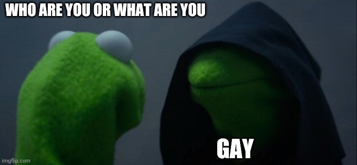 Evil Kermit Meme | WHO ARE YOU OR WHAT ARE YOU; GAY | image tagged in memes,evil kermit | made w/ Imgflip meme maker