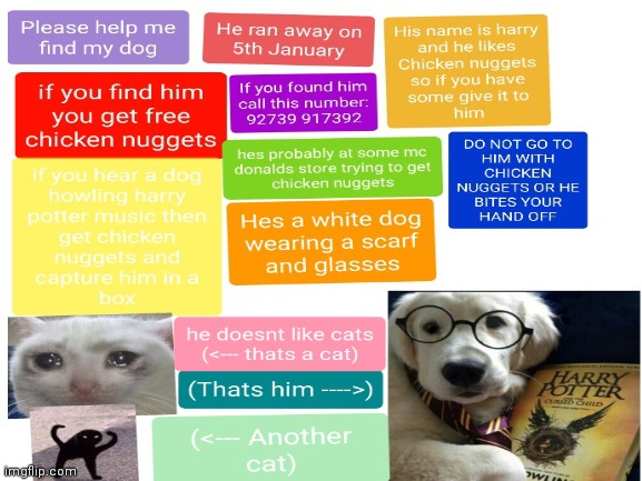 Please help me find him | image tagged in chicken nuggets,harry potter,dogs,cats | made w/ Imgflip meme maker