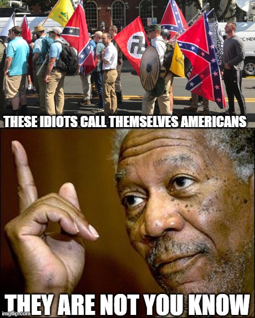 MAGA huh? | THESE IDIOTS CALL THEMSELVES AMERICANS; THEY ARE NOT YOU KNOW | image tagged in this morgan freeman,memes,politics,treason,proud boys,maga | made w/ Imgflip meme maker