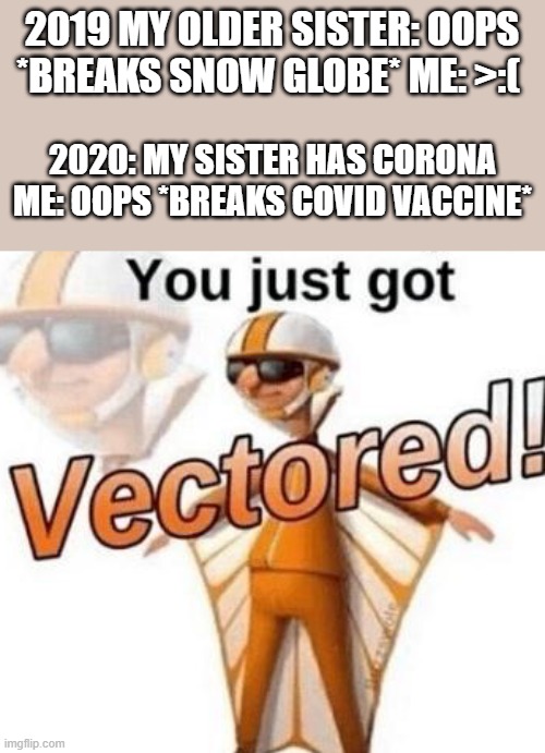 CRONA IS AWFUL | 2019 MY OLDER SISTER: OOPS *BREAKS SNOW GLOBE* ME: >:(; 2020: MY SISTER HAS CORONA ME: OOPS *BREAKS COVID VACCINE* | image tagged in you just got vectored,sister,crona,ha ha,funny,funny memes | made w/ Imgflip meme maker