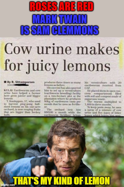 Who wants some lemonade? | ROSES ARE RED; MARK TWAIN IS SAM CLEMMONS; THAT'S MY KIND OF LEMON | image tagged in bear grylls,memes,funny headlines,funny,rhymes,lemons | made w/ Imgflip meme maker