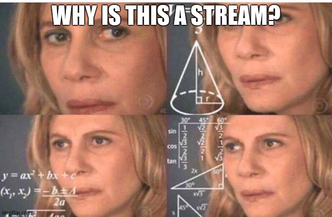 I truly wonder | WHY IS THIS A STREAM? | image tagged in math lady/confused lady | made w/ Imgflip meme maker